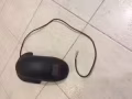 转让十寸滑板车后挡泥板加尾灯