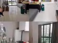 和空姐同住，租一間等於租一戶 溫馨公寓主人房等你來
