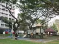 联邦地铁站附近，大牌65(Tanglin Halt)3房整租，家电家具全 