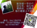 出国劳务，拒绝黑中介，选择有资质的公司