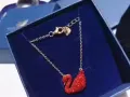 经典红天鹅