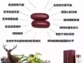 招募直销人员 单一产品鹿胎盆素逆转老化81568568