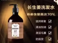 娇诗泉·长生姜洗护防脱育发套装
