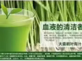 蚂蚁农场 ?青汁?