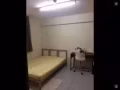 学习书桌10新