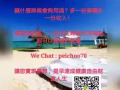 透過在家網路工作，将会改变你未来的生活品质!