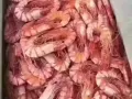 出售国内海鲜干货