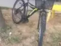 9成新自行车便宜转让亚龙自取