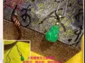 黄水晶释迦摩尼佛，缅甸玉A货三脚蟾蜍