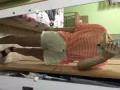 二手女装