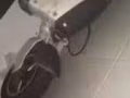 出售10寸升特滑板车尸体一个，除了电瓶坏了其他都正常