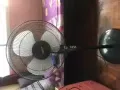 因回国低价出售风扇$15自取