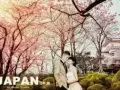 AF Photo Studio 2018海外全球婚纱旅拍(日本北海道）