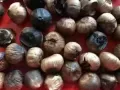 自制黑金蒜