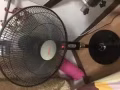 9成新风扇一个，挂烫机一个，瑜伽垫一个。看图！