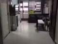 丹戎巴葛 床位出租