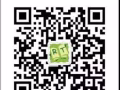 美国ReadingTown英文补习假期班开始报名 三人小班 超高关注度