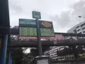 淡滨尼大牌938招男女搭房，230一月，交通便利，随时入住！！！！！！！！