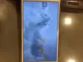 IPhone 6s Plus 64G  玫瑰金