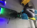 10寸的電滑板 出售