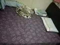 自用双人床整套出售