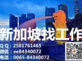 (｡◕ˇ∀ˇ◕｡) 新加坡本地中介  一手直招   微信ee84340072