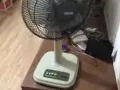 旧电扇免费卖