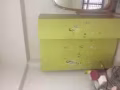 寻找合租女室友