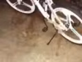 忍痛出售三刀自行車一輛，文禮，先驅附近。