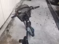 回國急售自行車25元