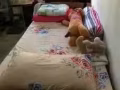 裕廊东大牌112找女搭房（房间只住两人）