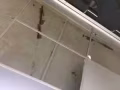 专治房屋漏水和渗水
