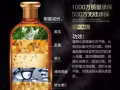 【优源三棵姜洗发水】防脱生发、控油去屑、止痒消炎、治疗灰白发，效果好看得见‼️