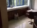 欢迎单身 或学生入住