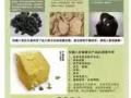 权健八卦养生仪
