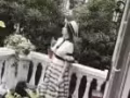闲置全新衣服，