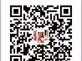白菜价处理全新发夹，美甲贴