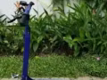 低价出售十寸电动滑板车