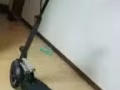 想买滑板车的进来看看。