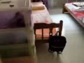 三巴旺 招女搭房