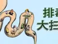 爱飘飘酵素针对便秘.消化不良.排毒养颜.清理肠道垃圾