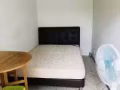 淡濱尼11街有&女/&男搭房出租或獨立單人間出租，電:8208-0208