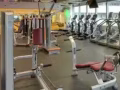 Transfer---CBDTruefitness Membership