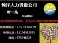 国内司机、仓库助理等 降价急招薪水2000+ +详情微信675246224