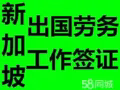G62  WP   汽车钣金  1800-2000，微信：18604317123