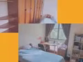 Bukit timah spingdale 豪華公寓大戶型整租