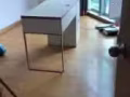 各種桌子柜子便宜賣