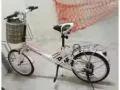 女士自行车