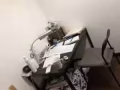 黑色桌子 30新 