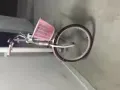 女生自行车